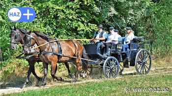 Springe: Elite des Kutschensports ist zu Besuch in Alvesrode - HAZ
