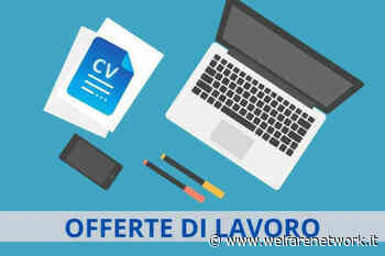 Attive 233 offerte lavoro CPI 16/08/2022 Cremona,Crema,Soresina e Casal.ggiore - WelfareNetwork