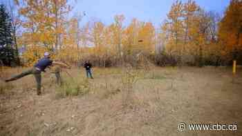 Disc golfers oppose city's plan to remove temporary course at North Glenmore Park