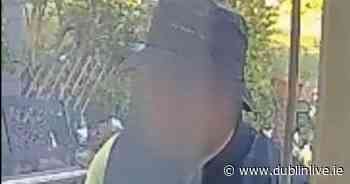 Elderly Dublin couple 'left devastated' after house robbed during 'lost cat' scam - Dublin Live