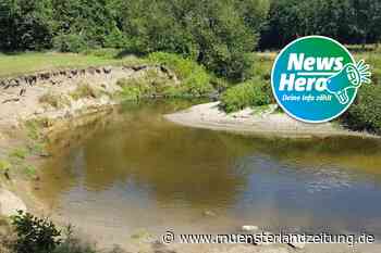 Trockenheit: So stark ist der Berkel-Pegel in sechs Monaten geschrumpft - Münsterland Zeitung