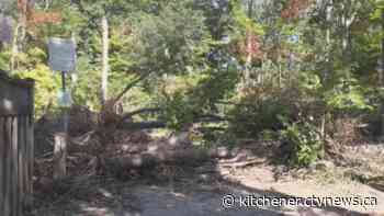Cleanup from spring storm set to get underway in Kitchener park - CTV News Kitchener