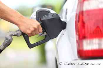 Another drop in gas prices expected overnight - Kitchener.CityNews.ca