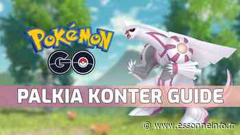 Pokémon GO : Guide des contres de Palkia - les 20 meilleurs contres contre le boss de raid - Essonne Info