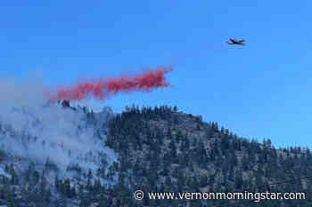 Richter Mountain wildfire, near Osoyoos being held - Vernon Morning Star