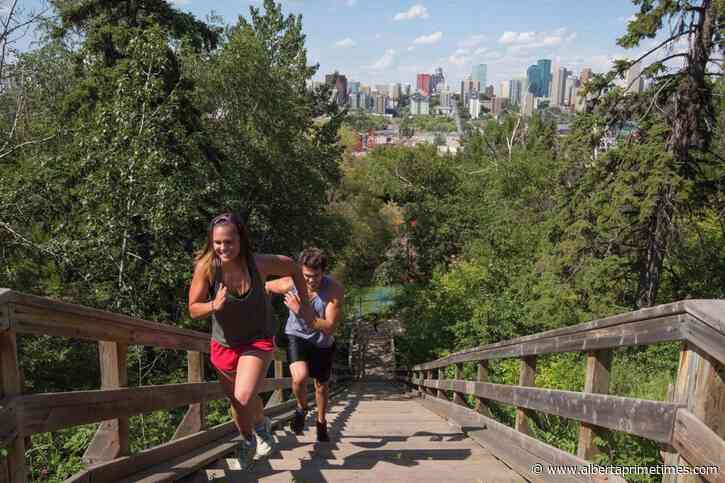 Edmonton gondola needed better Indigenous consultation, councillor says - Alberta Prime Times