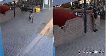 Politie verspreidt camerabeelden van fietsdiefstal | Puurs-Sint-Amands | hln.be - Het Laatste Nieuws