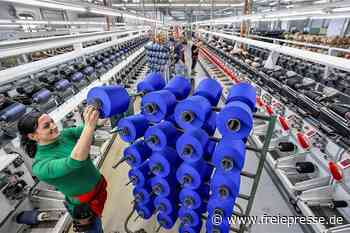 VTI-Präsident Lindner: "Gasumlage zeigt Hilflosigkeit des Staates" - freiepresse.de