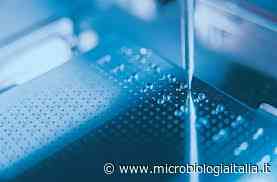 Spettrometria di massa MALDI-TOF - Microbiologia Italia