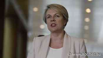 Tanya Plibersek urged to 'stand up for the people' and block $4.5b fertiliser plant proposal