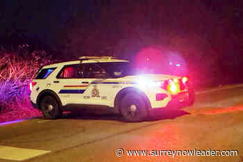 Arrests made in violent Langley home invasion - Surrey Now Leader