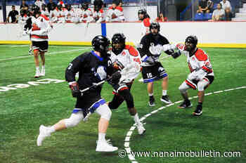 Nanaimo Timbermen to face Langley Thunder in lacrosse finals - Nanaimo Bulletin