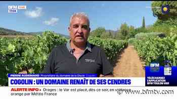 Var: un an après l'incendie de Gonfaron, un domaine viticole de Cogolin se reconstruit - BFMTV