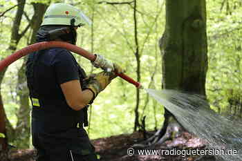 Stadt Verl meldet hohe Waldbrandgefahr - Radio Gütersloh