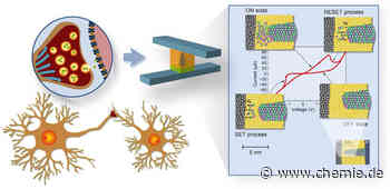 Synapsen als Vorbild: Festkörperspeicher in neuromorphen Schaltungen