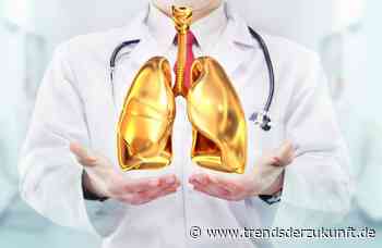 Digitalisierung: Israelische Notaufnahme kommt ohne menschliches Personal aus - Trends der Zukunft