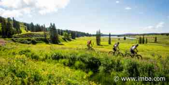 2022 National Forest System Trail Stewardship Grants Awarded - International Mountain Bicycling Association