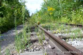 County seeks input on Barrie-Collingwood Railway trail - CollingwoodToday.ca