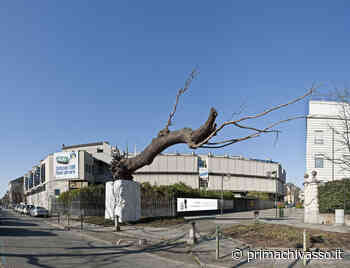 Weekend di Ferragosto, musei presi d'assalto - Prima Chivasso