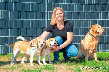 Eine Tagesstätte nur für Hunde