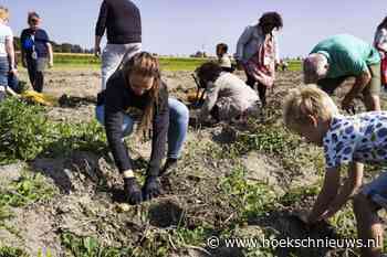 3 september Nationale Aardappelrooidag bij Novifarm in Numansdorp - Hoeksche Waard Nieuws