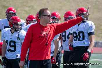 Gryphons football happy to return to 'normal' - Guelph News - GuelphToday