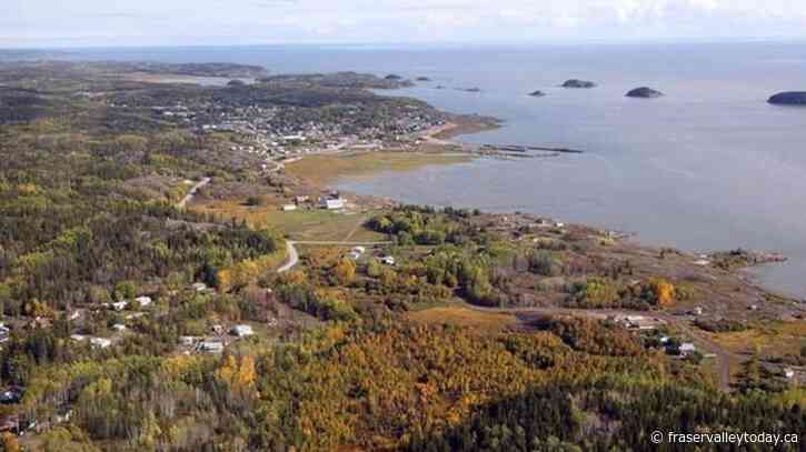 UNESCO team in Alberta to judge if Wood Buffalo Park should go on endangered list