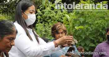 Invierte Atlixco 750 mil pesos en apoyo a cultivo de zarzamora - Intolerancia Diario