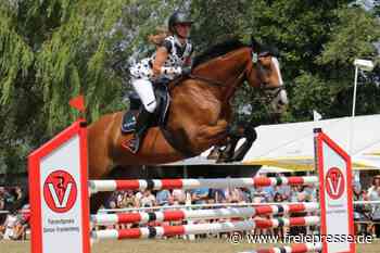 "Wahnsinn, was hier passiert" - freiepresse.de