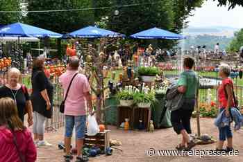 Tipps für Hitze und Trockenheit gefragt - freiepresse.de