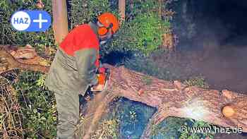 Hemmingen: Umgestürzter Baum blockiert Rad- und Fußweg - Feuerwehr im Einsatz - HAZ