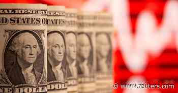 Dollar steady before retail sales, Fed minutes - Reuters