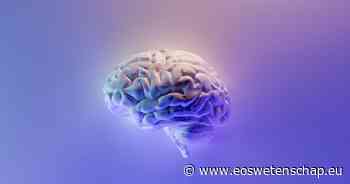 Wetenschappers lokaliseren het bewustzijn in het brein - Eos Wetenschap