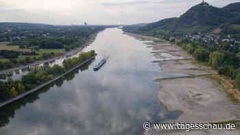 Niedrigwasser im Rhein: Steigende Pegel, aber keine Entwarnung