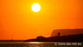 Scientists are warning us the Mediterranean Sea is warming, and it will devastate marine life