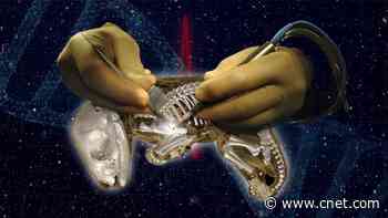 Inside the Plan to Resurrect Australia's Extinct Tasmanian Tiger     - CNET