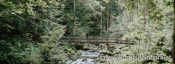 [Werbung] Entzückende Familienwanderung durch den Mühlenrundweg im Lammertal - Fräulein Floras Favourite Hangouts