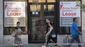 Statistics Canada to release 2021 census data on languages today - Lethbridge News Now