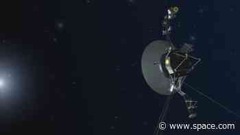 Voyager 2: An iconic spacecraft that's still exploring 45 years on