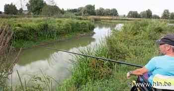 Met Natuurpunt naar natuurgebied Paddenbroek | Kluisbergen | hln.be - Het Laatste Nieuws