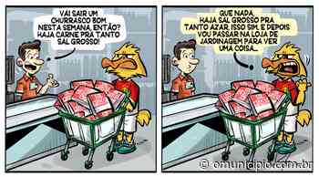 As infelicidades do campo e o Brusque muito próximo de engrenar na Série B - O Município