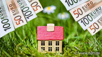 Neue Regel bei Banken und Sparkassen: So geht „nachhaltiges“ Investieren - BILD