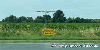 Über eine Million Euro: Radweg zwischen Ascheberg und Davensberg in wenigen Wochen frei - Ruhr Nachrichten