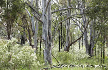 Cumberland Plain Conservation Plan finalised - - NSW Department of Planning