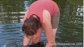 Stranded baby dolphin rescued & released from Parksville beach - Nanaimo News NOW