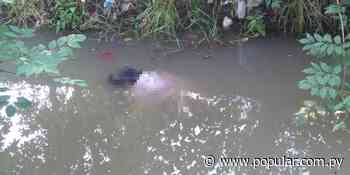 Hallan en estado de descomposición en el arroyo de Lambaré - Popular