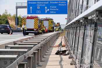 Wildunfall bei Dresden: Rehfamilie verendet noch am Unfallort | blick.de - Dresden - Blick.de