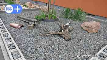 Was Dresden gegen die Gärten des Grauens tun will - Dresdner Neueste Nachrichten