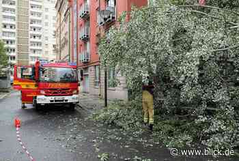 Starkregen sorgte für zahlreiche Feuerwehreinsätze in Landeshauptstadt | blick.de - Dresden - Blick.de