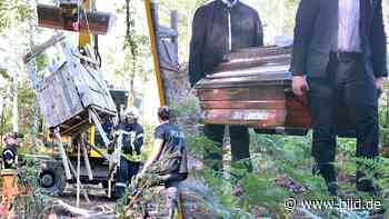 Dresden: Jäger entdeckt Toten auf Hochsitz im Wald in der Sächsischen Schweiz - BILD